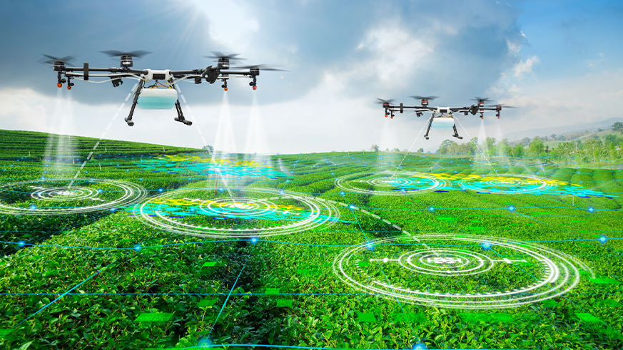 Using Drone For Farming